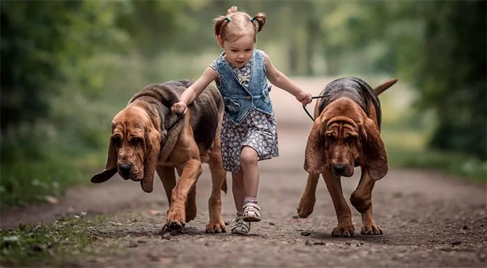 Фото Просто гулять и выгуливать.